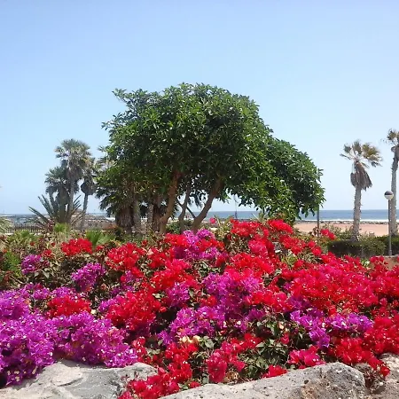 Διαμέρισμα Sol Y Luz Caleta De Fuste